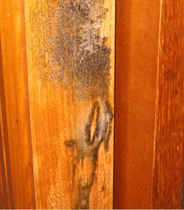 南京装修公司门发霉