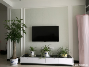 欧式风格电视背景墙