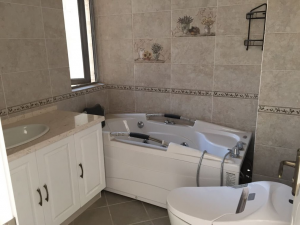 美式装修风格卫生间