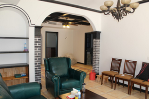 其它装修风格客厅