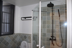 其它装修风格卫生间