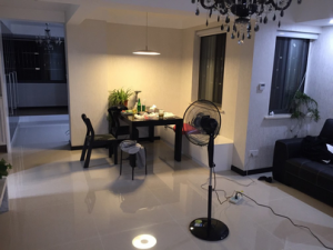 现代简约混搭客厅