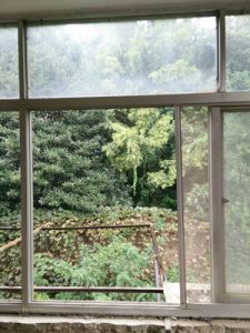 2017-03-01-105605_0003