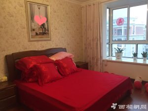 2017-03-02-094343_0008