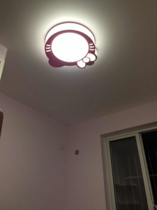 2017-03-06-100035_0048