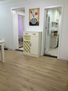 2017-03-06-100035_0053