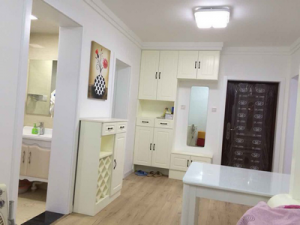 2017-03-06-100035_0055