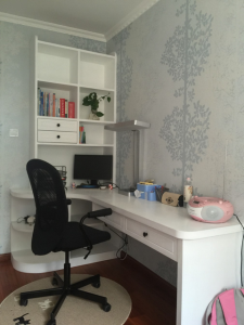 2017-03-10-095947_0008