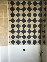 2017-03-13-100854_0004