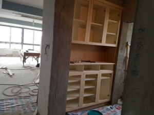 2017-03-13-100854_0008