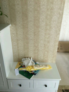 2017-03-13-100854_0034