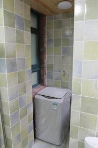 2017-03-17-100311_0032