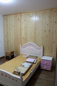 2017-03-17-100311_0037