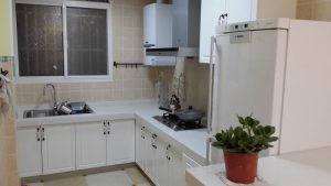 2017-03-21-100346_0004