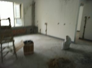 2017-03-24-094748_0003