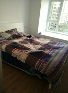 2017-03-24-094748_0026