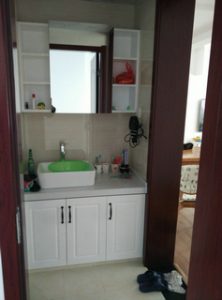 2017-03-24-094748_0028