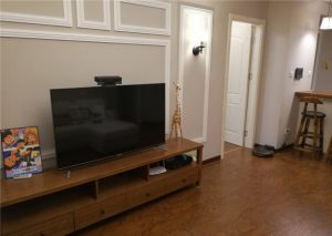 2017-03-29-102124_0035