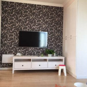 2017-04-08-100501_0002