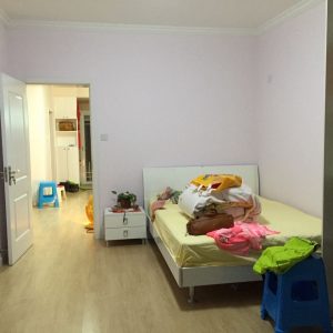 2017-04-08-100501_0004