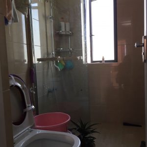 2017-04-08-100501_0010