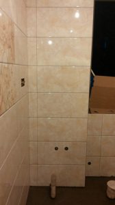 2017-04-10-124549_0007