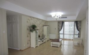 2017-04-25-092221_0002