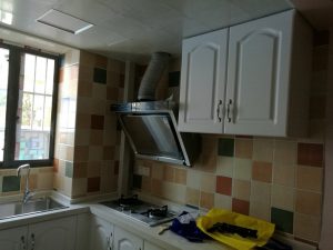 2017-06-17-085859_0009