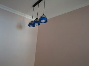 2017-06-17-085859_0010