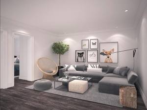 　南京客厅装修知识集锦， 这些你肯定不知道！