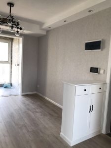 2017-06-29-100802_0012