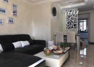 2017-07-04-091627_0008