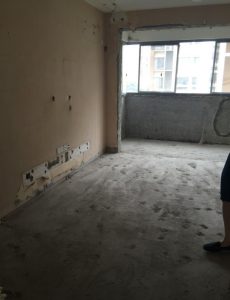 2017-07-05-095237_0010