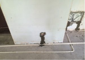 2017-07-14-093100_0004