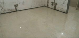 2017-07-17-083056_0012