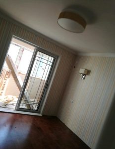 2017-07-17-083058_0005