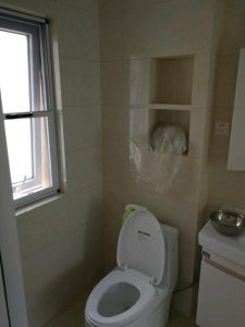 2017-07-20-085326_0004