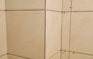 南京东渡新锐国际装修瓷砖铺贴