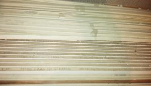 2017-10-30-110758_0008