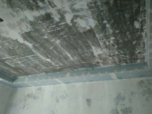 2017-11-06-124306_0011