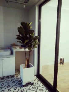 2017-11-06-124308_0003