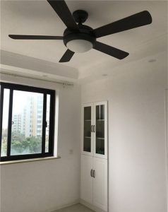 2017-11-10-092046_0005