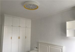 2017-11-10-092046_0009