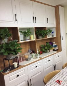 2017-11-14-123508_0002