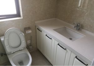 2017-11-20-083720_0004