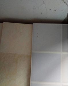 2017-11-27-094118_0002