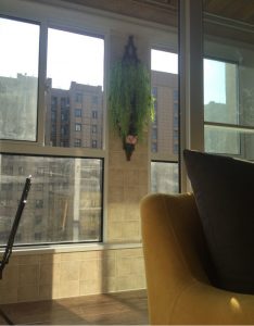 2017-11-30-115318_0003