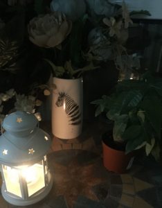 2017-11-30-115318_0004