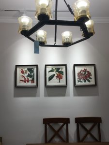 2018-01-23-125552_0001