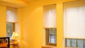 2018-01-29-180800_0002